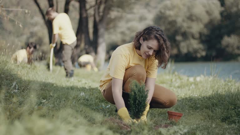 Lawn Irrigation Installation and Maintenance in Thunder Mountain, NM